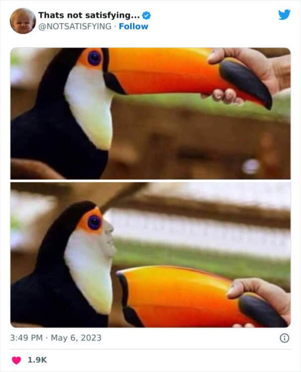 "What they don't want you to see... "