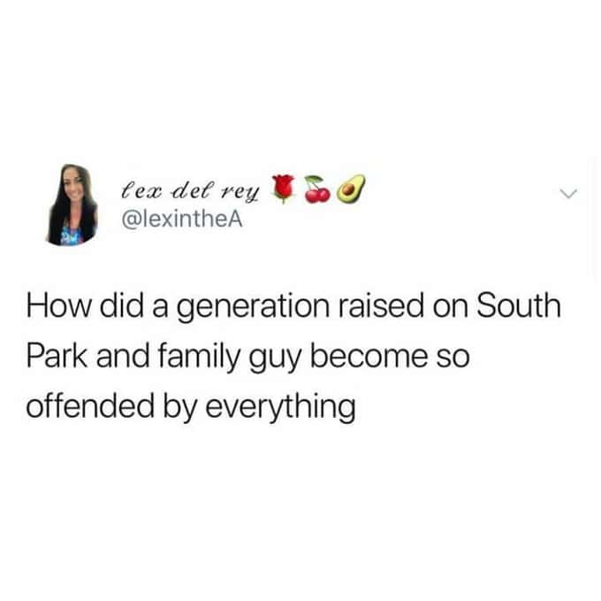 "How did a generation raised on South Park and Family Guy become so offended by everything?"