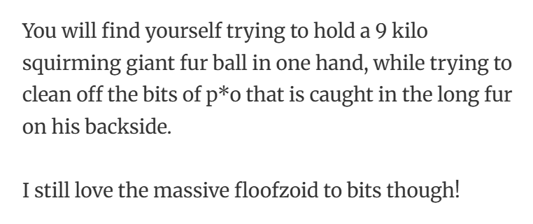 30. Long-haired Maine Coon.