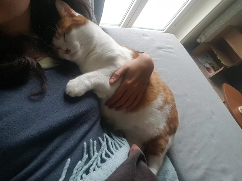 1. "Who can resist a pre-nap cuddle with Mom?"