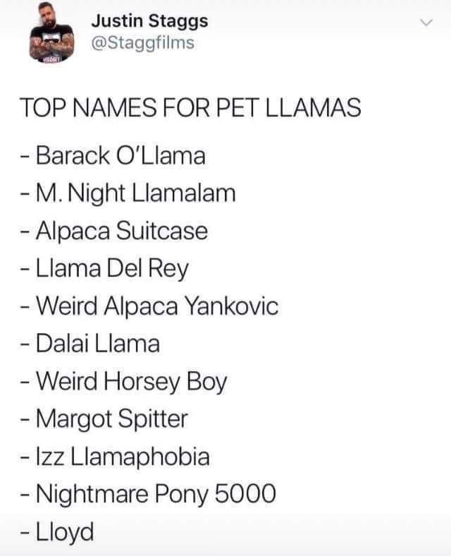 52. You can pick anyone