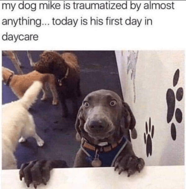 42. The traumatized facial expression