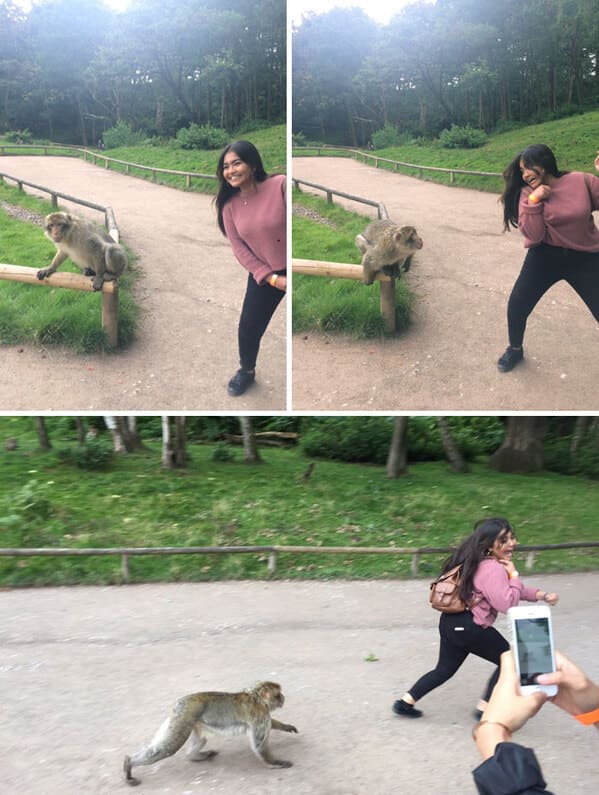 19. “Trying To Take A Picture With The Monkey”