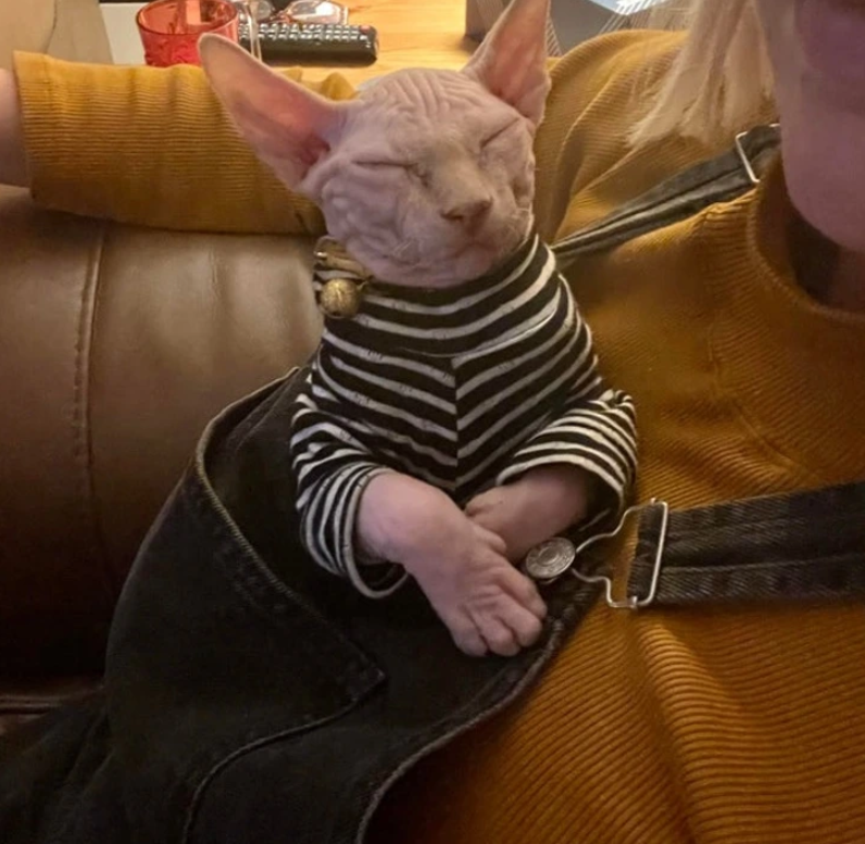 6. "Favorite Place to Chill."