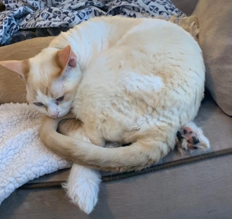 2. "He's lurking in there somewhere."