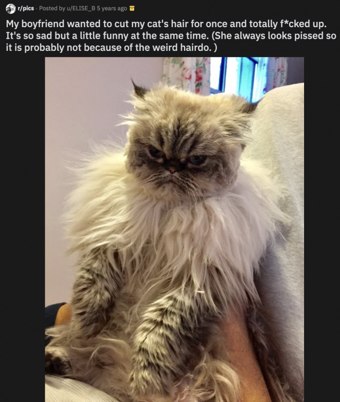 25. Nah, it's definitely about that hairdo.