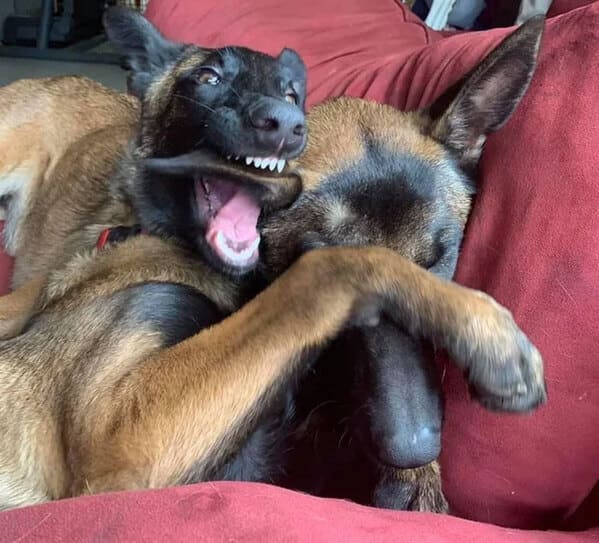 24. “A Second Before The Bite”