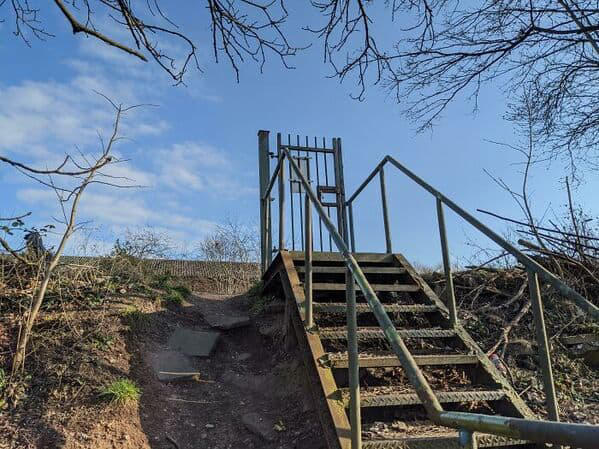 20. "Locked The Gate; No One Can Get Into The Field Now"