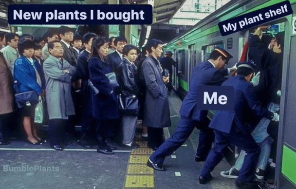 16. There's always room for one more.