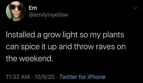 6. Plant raves are the best raves.