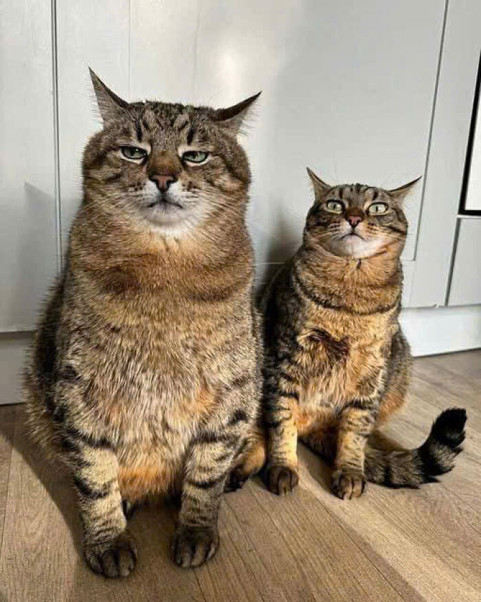3. Yes, we're judging you
