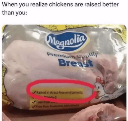 39. This is where it ends