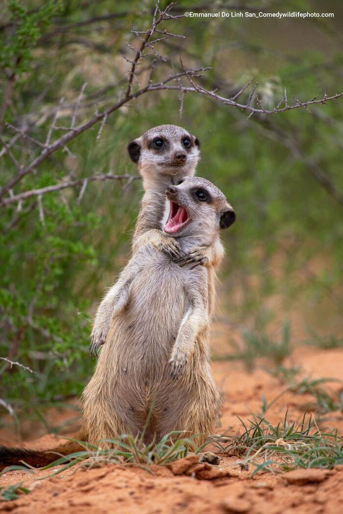 I'm Gonna Strangle You! By Emmanuel Do Linh San
