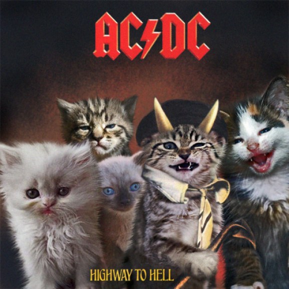 22. Now with a cat: