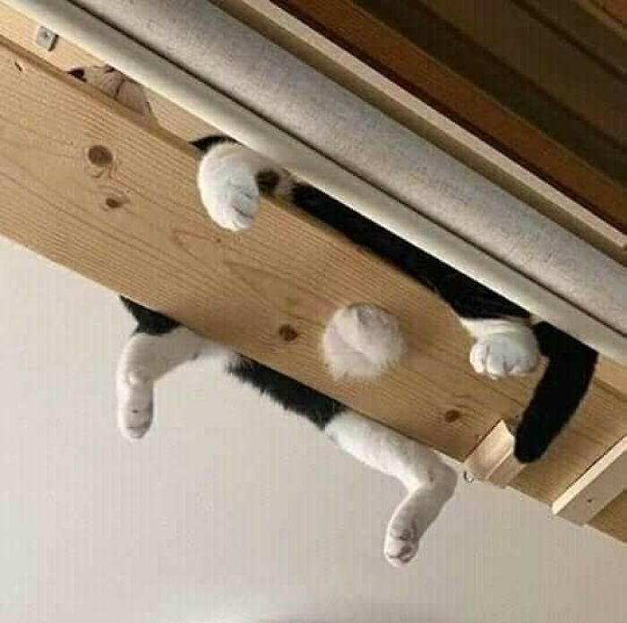 14. What shall we call this?