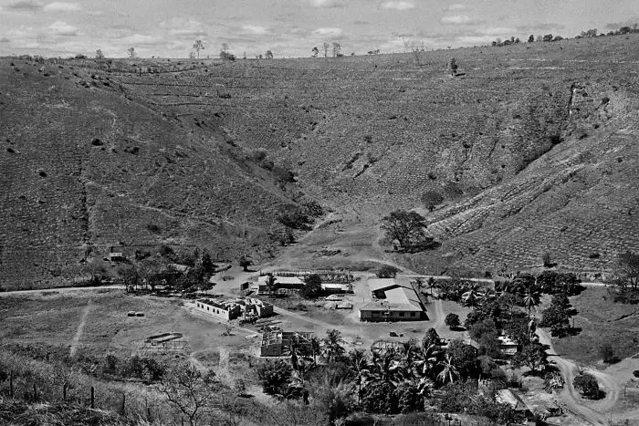 In 1994, after covering Rwanda's conflict, photojournalist Sebastião Salgado returned home to Minas Gerais. Expecting solace in familiar forests, he found devastation. Rapid deforestation had turned lush land barren, leaving only 0.5% forested.