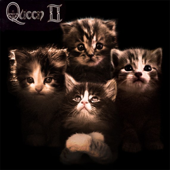 14. Now with a cat: