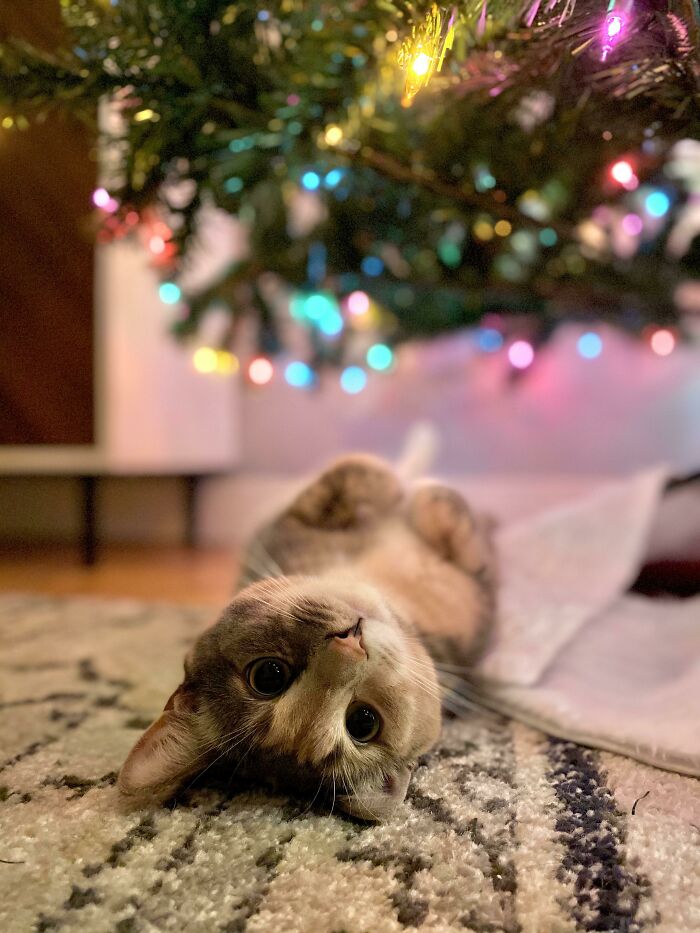 6. Penny is a Treasure.