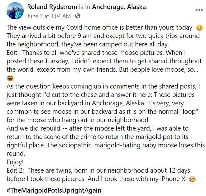 The stunning scenery moved Rydstrom, and he took several photos of the joyful family, later sharing them on Facebook.