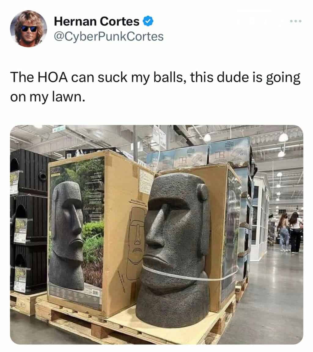 37. The dude goes on the lawn, y'all