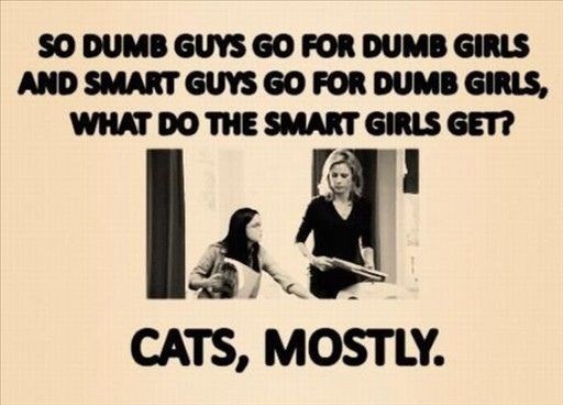 There's a huge difference between cat ladies and non-cat ladies; clearly, cat ladies are smarter.