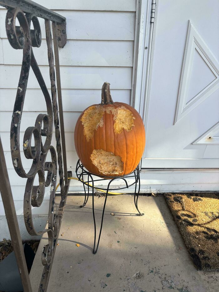 "The Squirrels In My Neighborhood Carved My Pumpkin For Me"