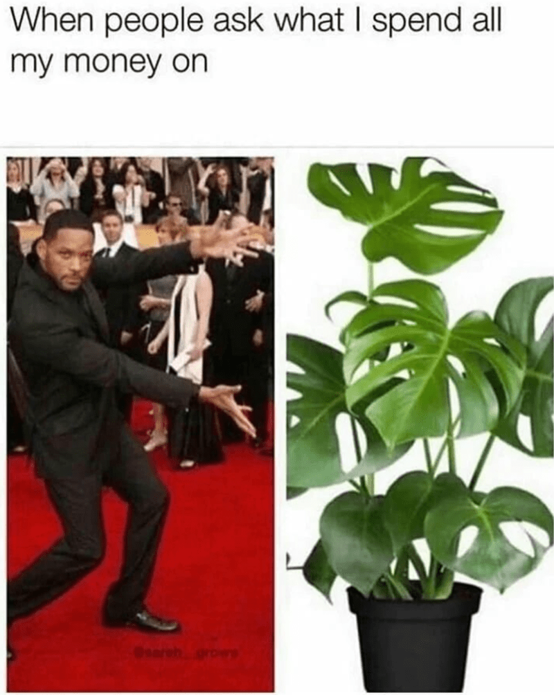 25. Isn't it obvious?