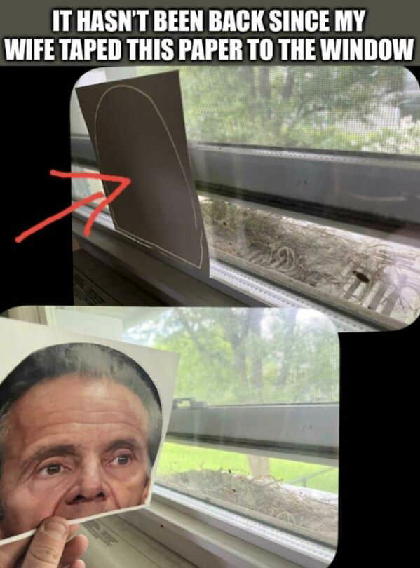 31. "A Bird Started A Nest On Top Of The Air Conditioner"