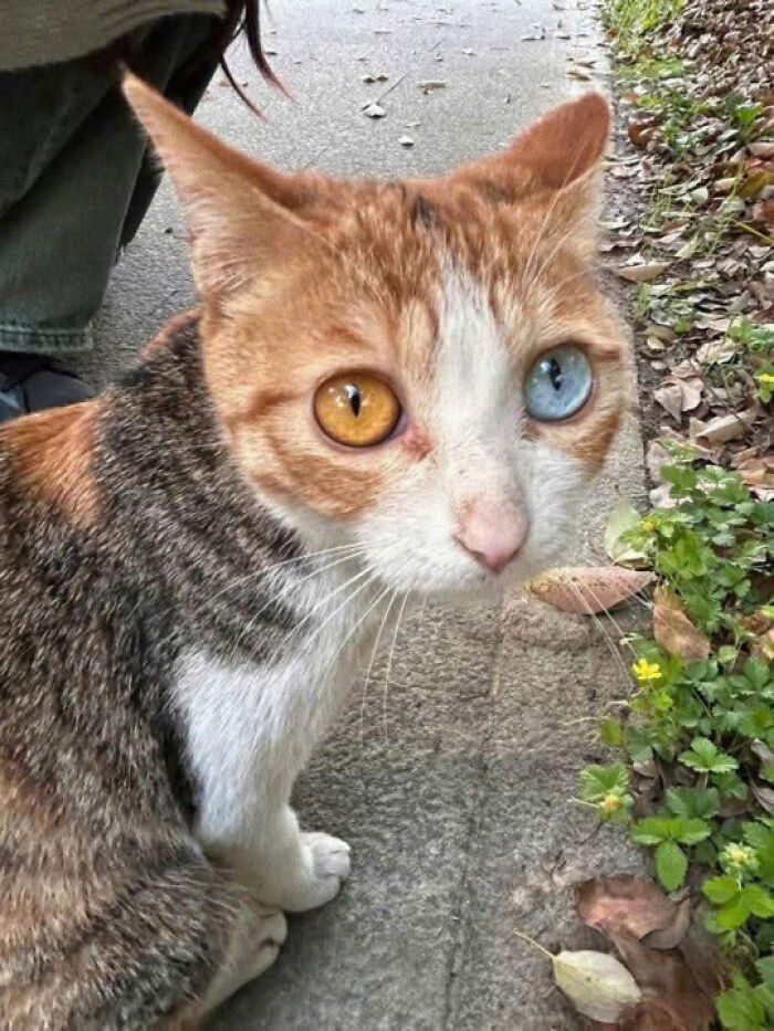 44. Those eyes...
