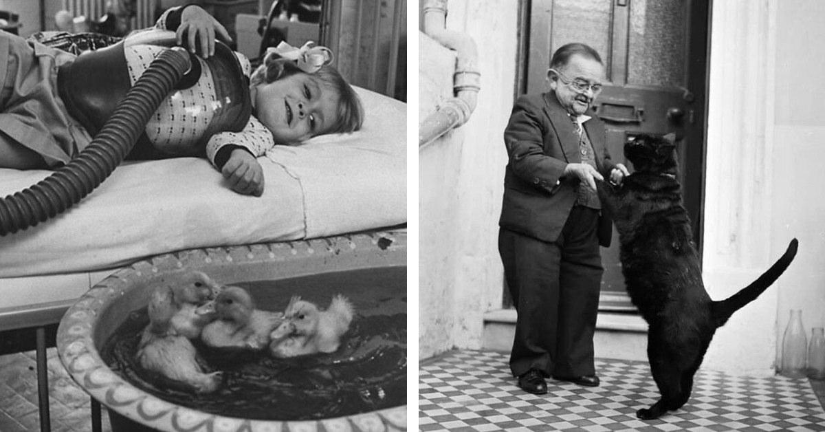 29 Vintage Photos Show Animals at the Center of Everyday Life
