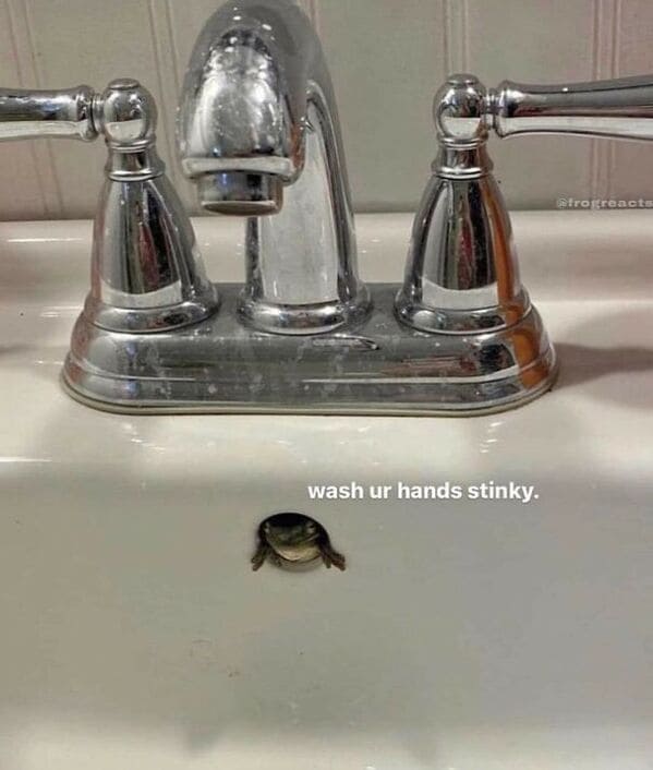 "Listen to the frog."