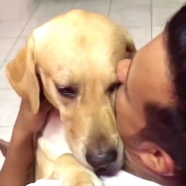 After a successful surgery, the dog, covered in stitches, hugged its owner tightly, showing deep affection and relief.
