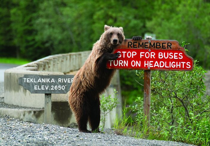 Drive Safe By Jonathan Irish