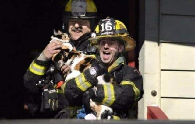 42. If You're Looking for a Sign to Sin...