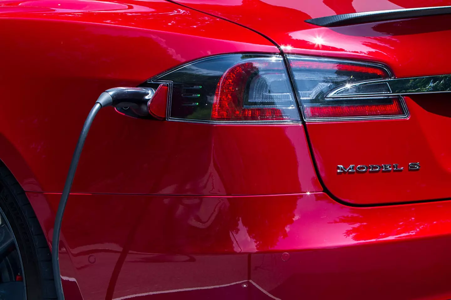 Longevity and Efficiency