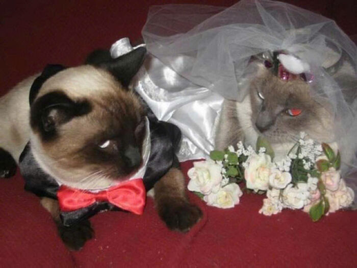 10. Yes, we're married