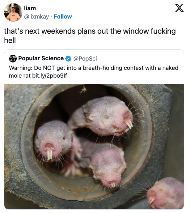 This is probably the weirdest thing we've seen.