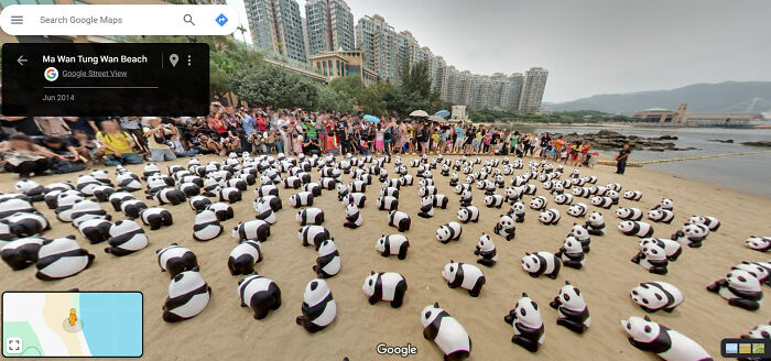 "Ah! So Many Pandas!"