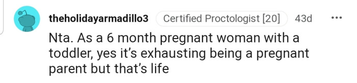 "NTA...Yes, it’s exhausting being a pregnant parent, but that’s life."