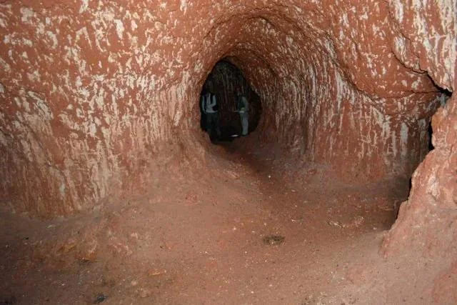 1. "A Tunnel Dug By The Giant Ground Sloth In Brazil (10,000 Years Ago)"