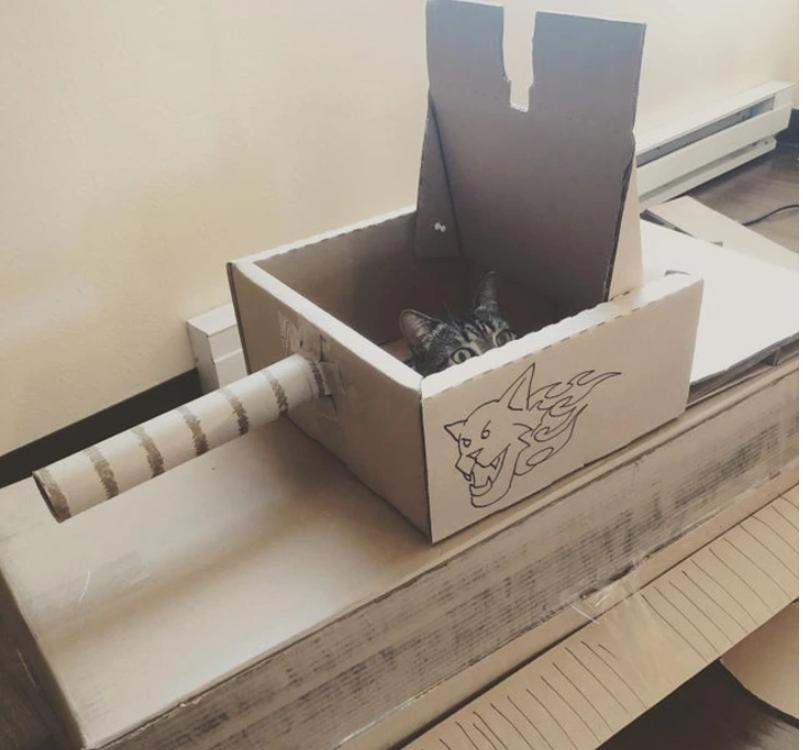 12. "Kitty Kommandos: Cat Crews Conquer Cardboard Tanks"