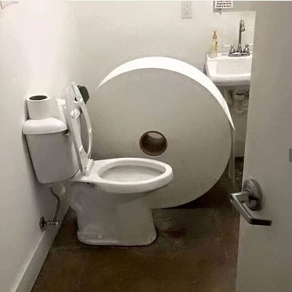 Now you can't run out of toilet paper