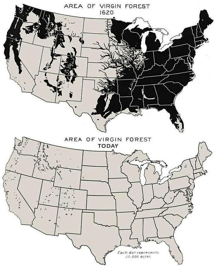 Virgin Forest Cover 1620 vs. Today