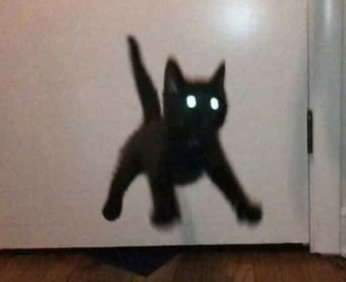 3. Cursed_spook