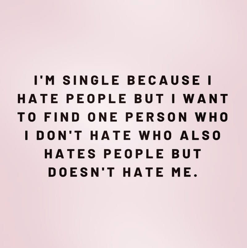 That pretty much sums it up
