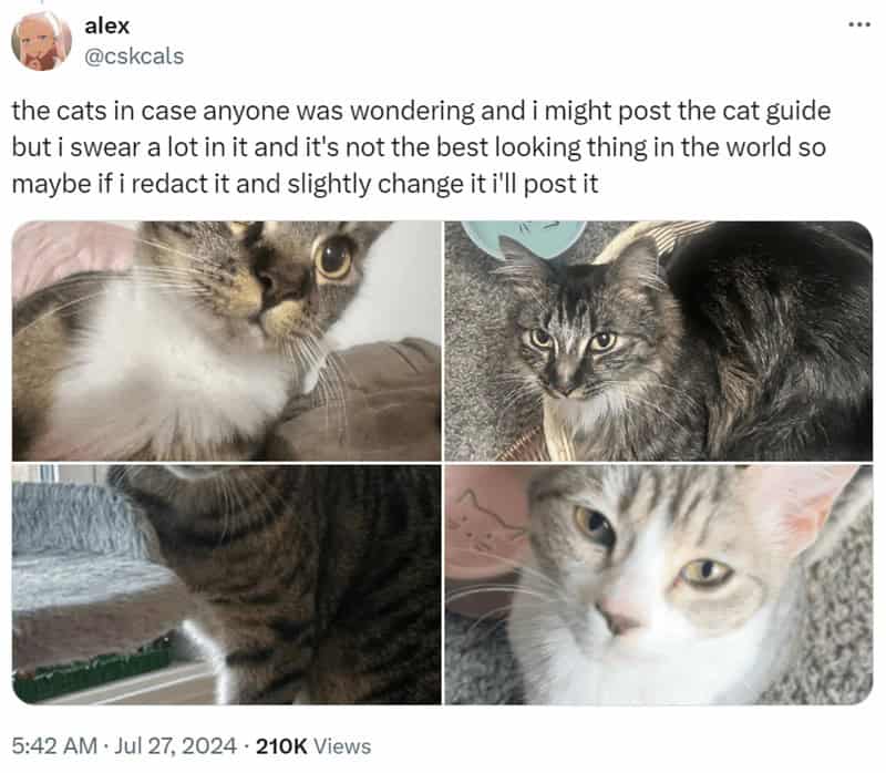 4. These are her cats