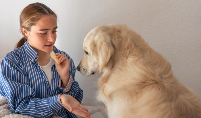 Facts About Dog Breeds and Daily Life