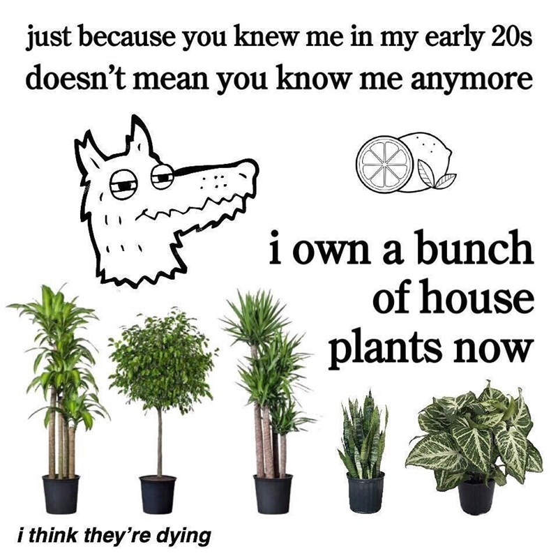 Adulting in a nutshell