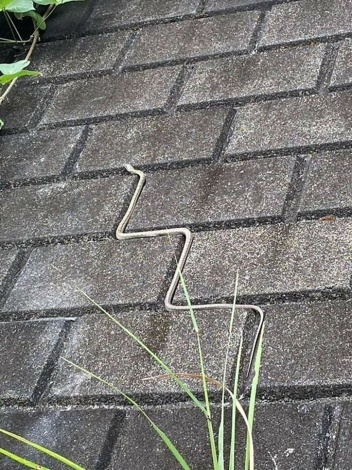 23. Going according to plan I see