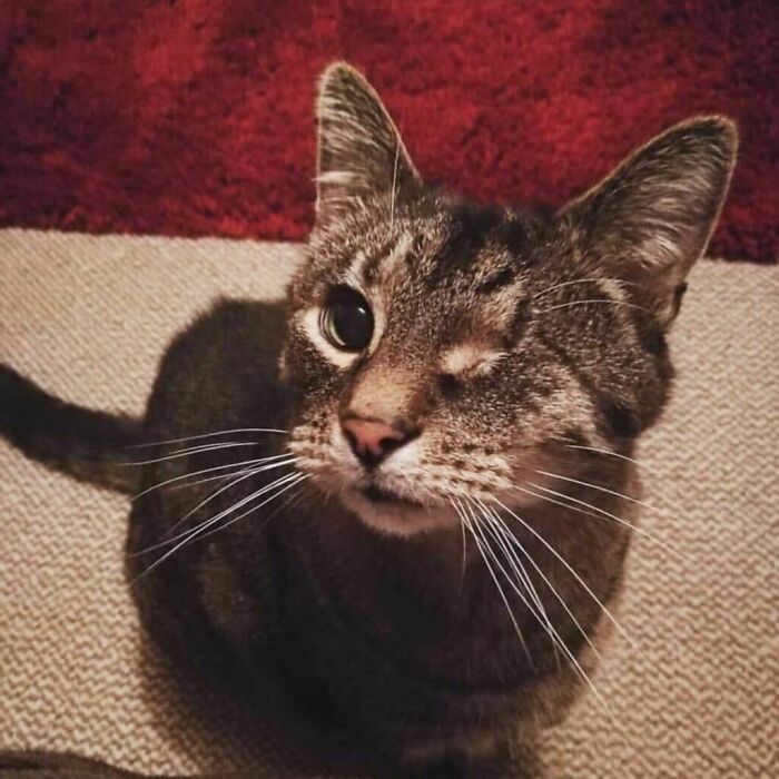 3. He only has one Disney eye, but it still counts, right?